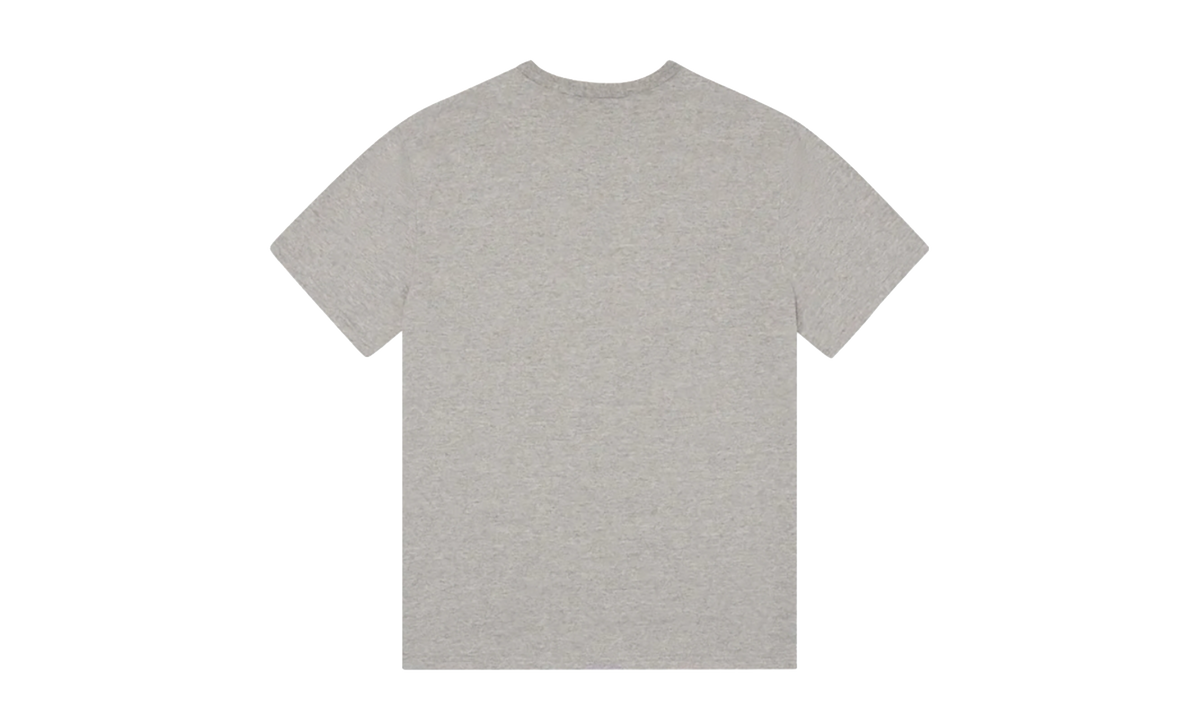Mission Statement Tee "Grey" DT322
